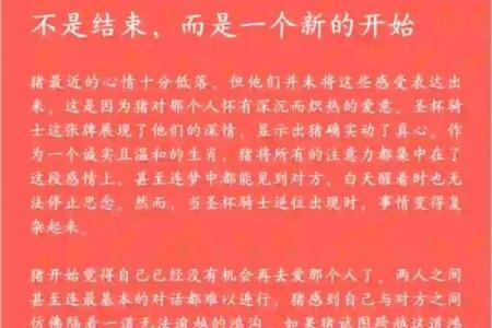 属猪人运程大揭秘：恋爱、工作和健康运势趋势