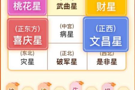 属龙人猪狗运程分析：机遇与挑战并存