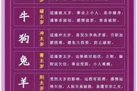2024甲辰年：龙腾盛世，财运亨通，必看干支运势解析