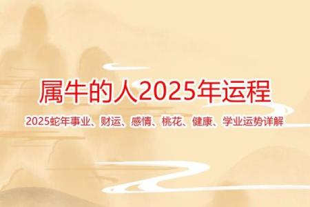 属牛人运势分析：迎接挑战与机遇并存