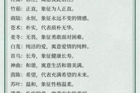为宝宝取个独特又有意义的名字，助力人生精彩起航