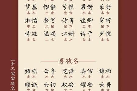性田宝宝取名指南：为新生儿选择一个有意义的名字