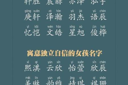 猪宝宝起名宝典，给你的宝宝取个独特名字
