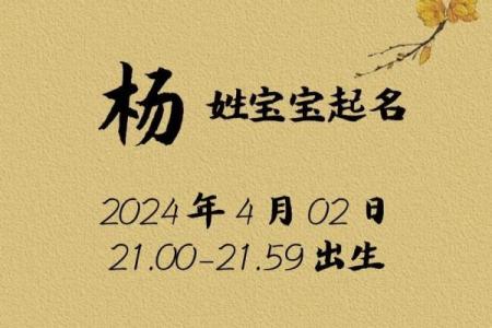 杨姓鸡宝宝起名宝典：为宝宝挑选一个独特又寓意深远的名字