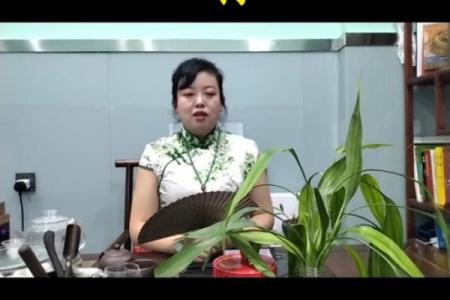 如何利用运程提升属狗人的生活质量