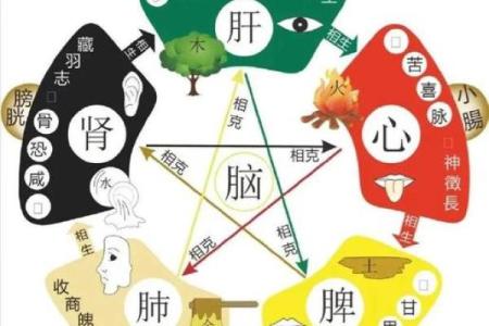 五行之道：解密五行对你生活的深远影响