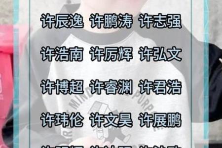 为许姓男宝宝起个有意义的名字指南