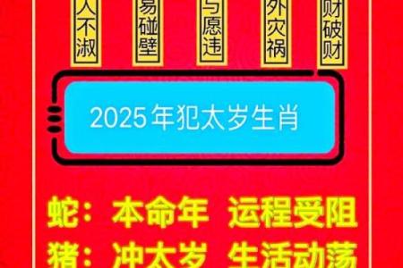 解锁牛年生辰八字中的人生密码，如何影响你的未来？