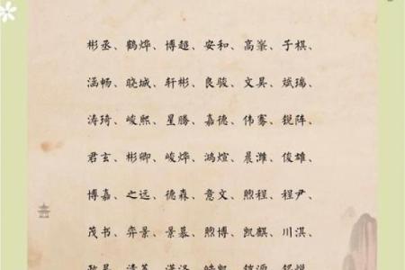 如何挑选带阳的名字，传递正能量与美好