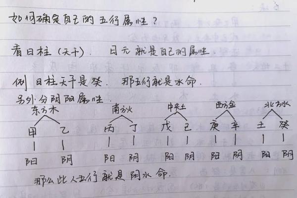 五行运势解析,看看你的命运如何变化 五行运势解析,看看你的命运如何变化