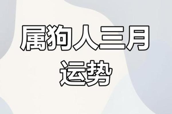 属狗人三月的财运与感情运势解析 属狗人三月的财运与感情运势解析