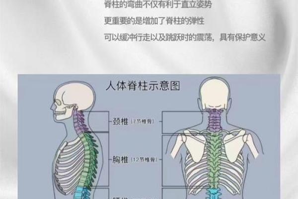 探讨反背风水与个人健康的关系 探讨反背风水与个人健康的关系