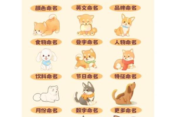 最适合你家狗狗的名字有哪些 最适合你家狗狗的名字有哪些