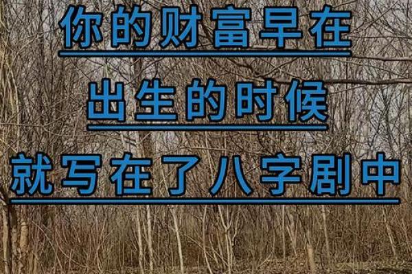 生辰八字如何影响你的财运?掌握这些关键点,让财富轻松到来! 生辰八字如何影响你的财运?掌握这些关键点,让财富轻松到来!