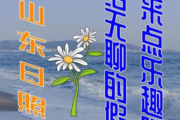 农历假日的精彩玩法，带你体验不同的假期乐趣