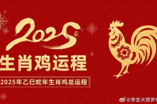 猴年鸡的运程解析:如何在这一年中把握机会 猴年鸡的运程解析:如何在这一年中把握机会