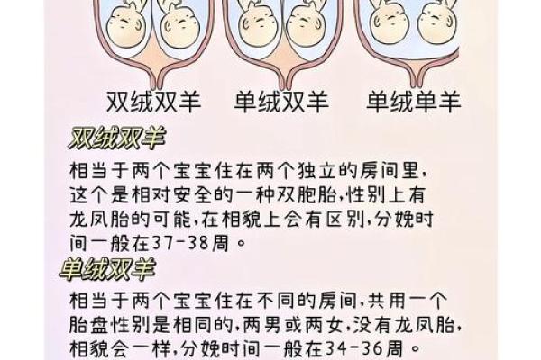 探秘双胞胎八字:命运背后的神奇规律 探秘双胞胎八字:命运背后的神奇规律