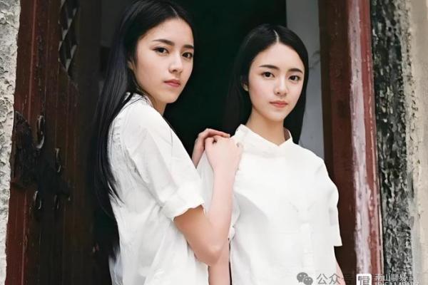 探秘双胞胎八字:命运背后的神奇规律 探秘双胞胎八字:命运背后的神奇规律