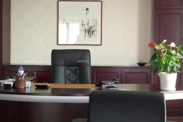 掌握办公室风水大法,打造顺利职场环境 掌握办公室风水大法,打造顺利职场环境