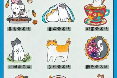 小猫名字推荐，让你的猫咪更显萌态