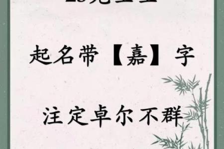 打造独特公司形象，带嘉字的名字推荐