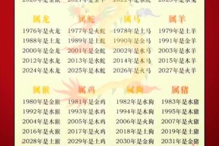 婷在五行属什么？揭秘其五行属性及寓意分析