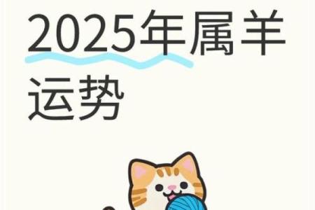 属羊运势变化与应对策略