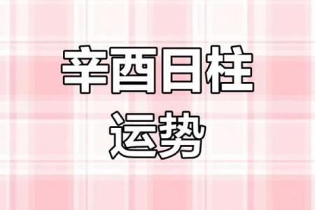 甲子日柱婚姻运势解析：是顺境还是逆境？