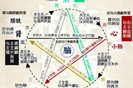 尹字五行属什么？了解尹字背后的五行奥秘