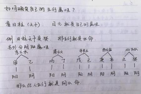 五行运势解析，看看你的命运如何变化