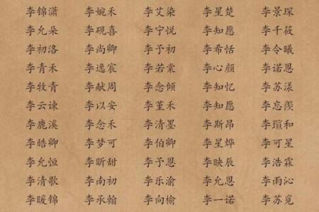 李姓新生儿名字精选：寓意美好与幸运的选择