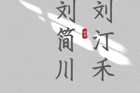 给Liu姓宝宝起名字时的文化与创意指南