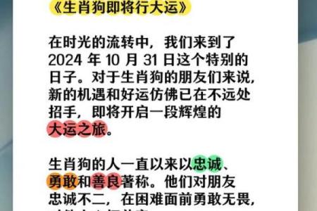 属狗人三月的财运与感情运势解析
