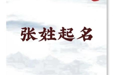 张姓猴宝宝起名攻略 让你的宝宝与众不同