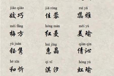 猪宝宝起名字测试评分：为你的宝贝选个完美名字的最佳指南