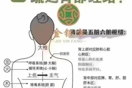 探讨反背风水与个人健康的关系