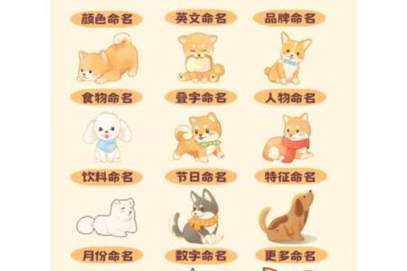 最适合你家狗狗的名字有哪些