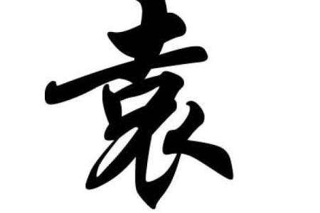 探索袁姓名字背后的历史与现代命名趋势