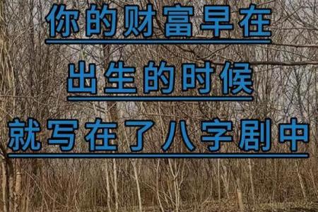 生辰八字如何影响你的财运？掌握这些关键点，让财富轻松到来！