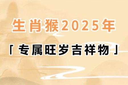 猴年鸡的运程解析：如何在这一年中把握机会