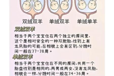 探秘双胞胎八字：命运背后的神奇规律