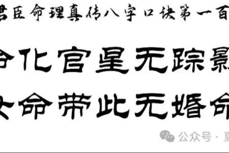 八字命理解析：女性的官杀与事业成功