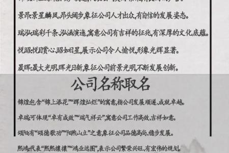 装饰公司起名创意与趋势分析