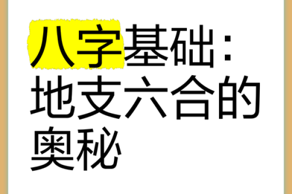 了解八字的奥秘:它到底是什么,有什么用? 了解八字的奥秘:它到底是什么,有什么用?