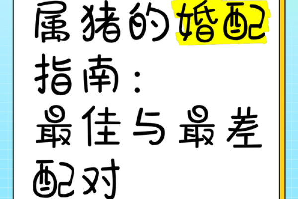 属猪宝宝女孩取名的最佳指南与建议 属猪宝宝女孩取名的最佳指南与建议