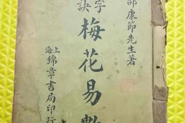 深入梅花易数风水论坛，发现提升运势的秘诀