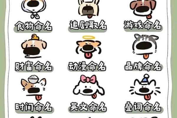 为狗年十一月女宝宝挑选合适名字的技巧与建议 为狗年十一月女宝宝挑选合适名字的技巧与建议