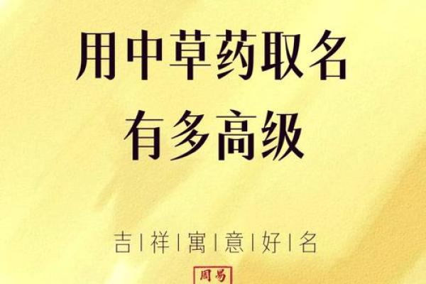 陈姓宝宝命名技巧:让名字与宝宝的未来相得益彰 陈姓宝宝命名技巧:让名字与宝宝的未来相得益彰