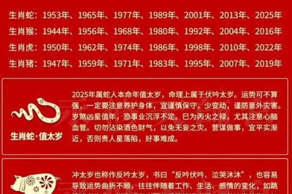 属蛇人在的财富与事业运势预测 属蛇人在的财富与事业运势预测