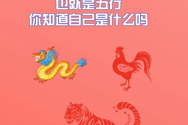 命中五行金水纯的生肖有哪些,你了解吗? 命中五行金水纯的生肖有哪些,你了解吗?